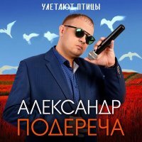 Постер песни Александр Подереча - Улетают птицы