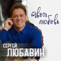 Постер песни Сергей Любавин - Твоя любовь