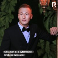 Постер песни Шахзод Юлдашев - Sevaman deb aytolmadim