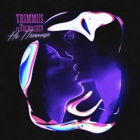 Постер песни Trimmus, Tolmachev - Не пятница