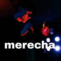 Постер песни merecha - Мотылёк