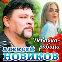 Постер песни Алексей Новиков - Девочка рябина