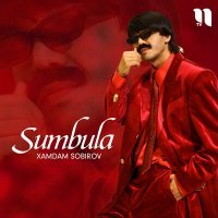Постер песни Хамдам Собиров - Sumbula (remix by Dj Baxrom)