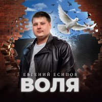 Постер песни Евгений Есипов - Воля