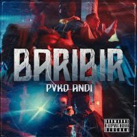 Постер песни PVKO AND1 - BARIBIR