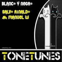 Постер песни Salvo Rinaldo - Blanco Y Negro