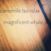Постер песни Camomile Tea Relax - Magnificent Whale
