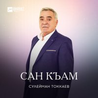Постер песни Сулейман Токкаев - Сан къам