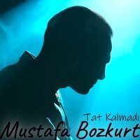 Постер песни Mustafa Bozkurt - Tat Kalmadı