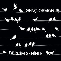 Постер песни Genç Osman - Derdim Seninle