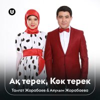 Постер песни Талғат Жорабаев & Аяулым Жорабаева - Ақ терек, Көк терек