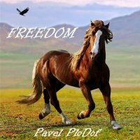 Постер песни Pavel PloDof - Freedom / Свобода