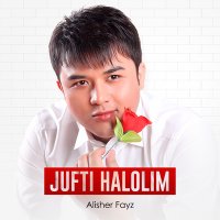 Постер песни Алишер Файз - Jufti halolim