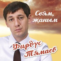 Постер песни Фирдус Тямаев - Нигэ