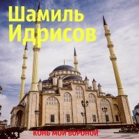 Постер песни Шамиль Идрисов - Иллица ас безам хьасти