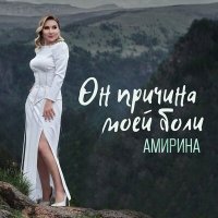 Постер песни Амирина - Он причина моей боли