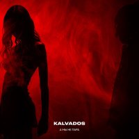 Постер песни KALVADOS - А мы не пара (Alexei Shkurko, Berskiy Remix)