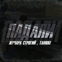 Постер песни Жучара Строгий, Tamuki - Падали