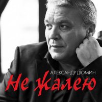Постер песни Александр Дюмин и Александр Кузнецов - 20 дней