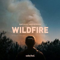 Постер песни DLMT, Luis Torres & Rico 56 - Wildfire