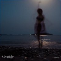 Постер песни Shady - moonlight (Speed Up)