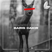 Постер песни Barış Çakır - Black Roe