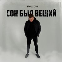 Постер песни PALYCH - Сон был вещий