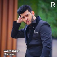 Постер песни Оллоёрхон - Aybim sevdim