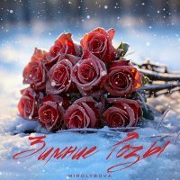 Постер песни MIROLYBOVA - Зимние розы
