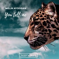 Постер песни Melih Aydogan - What You Want