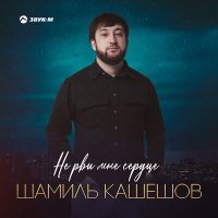 Постер песни Шамиль Кашешов - Не рви мне сердце