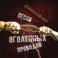 Постер песни АНАНАСОВ и Ко, Гарри Ананасов - Нефордевочки