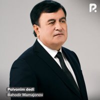 Постер песни Баходир Мамажонов - Polvonim dedi