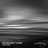Постер песни Moonlight Tunes - Imagine (GRUE & Markus Luv Remix)