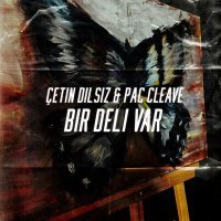 Постер песни Pac Cleave & Çetin Dilsiz - Bir Deli Var