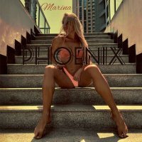 Постер песни Marina - Phoenix