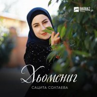 Постер песни Сацита Солтаева - Хьомениг