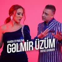 Постер песни Rüfət Axundov, Vahidə Zeynalova - Gəlmir Üzüm
