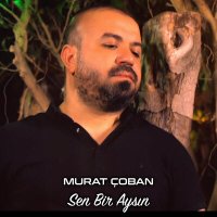 Постер песни Murat Çoban - Sen Bir Aysın