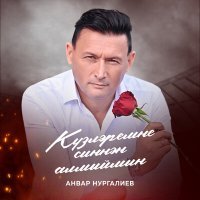 Постер песни Анвар Нургалиев - Кузлэремне синнэн алмыймын