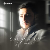 Постер песни Salavatov - Не молчи (Dj Proale 2024 Mix)