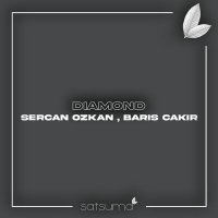 Постер песни Sercan Ozkan, Barış Çakır - Diamond
