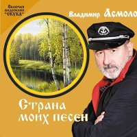 Постер песни Владимир Асмолов - Я иду туда