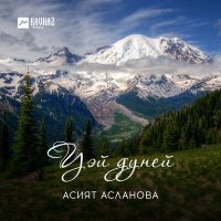 Постер песни Асият Асланова, Черим Нахушев - Рэууей жи