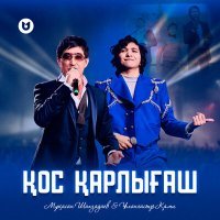 Постер песни Мұқасан Шахзадаев & Ұланғасыр Қами - Қос қарлығаш