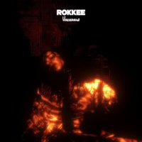 Постер песни ROKKEE - Инсомния