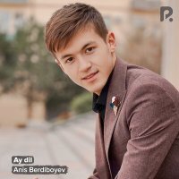 Постер песни Anis Berdiboyev - Ay dil