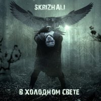 Постер песни Skrizhali - Попробуй вдохнуть тишину