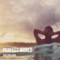 Постер песни Skelton John - Perfect World