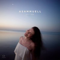 Постер песни Asammuell - Без тебя